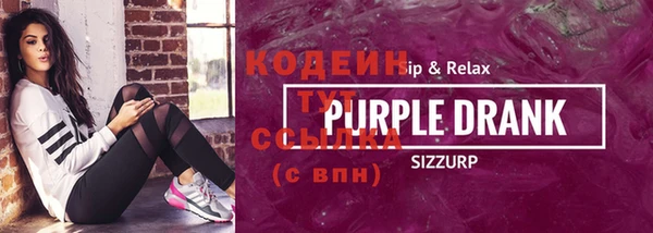 шишки Инта