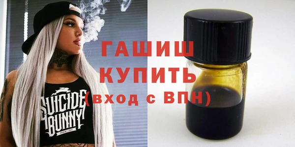 шишки Инта