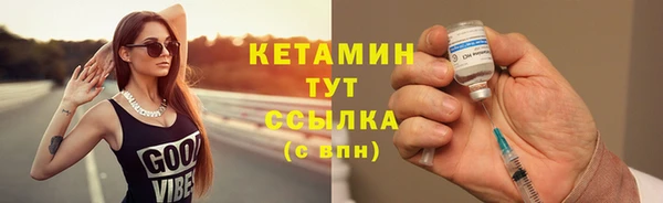 шишки Инта