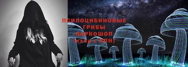 шишки Инта