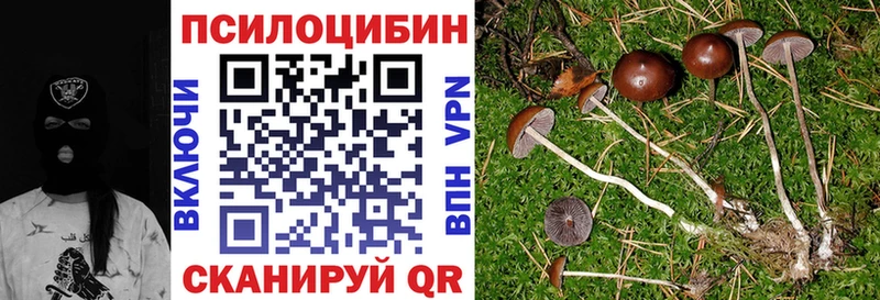 магазин продажи   Искитим  Галлюциногенные грибы мухоморы 