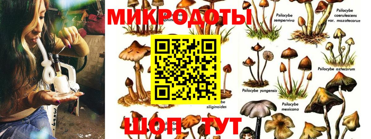 Псилоцибиновые грибы GOLDEN TEACHER  что такое наркотик  Искитим  Вход с VPN  Галлюциногенные грибы прущие грибы 