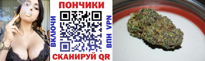 хочу Искитим МАРИХУАНА план